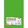 Folia 614/50 55 - verde - tinta unita - A4 (210 x 297 mm) - 300 g/m² - 50 fogli - Germania