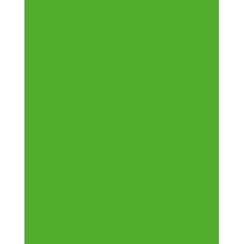 Folia 614/50 55 - verde - tinta unita - A4 (210 x 297 mm) - 300 g/m² - 50 fogli - Germania