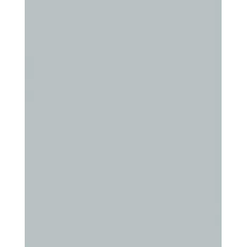 Folia 614/50 60 carta design - argento - A4 (210 x 297 mm) - 300 g/m² - opaca - 50 fogli