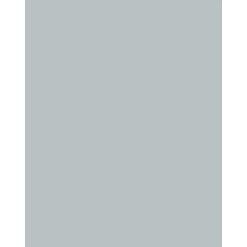 Folia 614/50 60 carta design - argento - A4 (210 x 297 mm) - 300 g/m² - opaca - 50 fogli