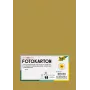 Folia 614/50 65 - oro - tinta unita - A4 (210 x 297 mm) - 300 g/m² - opaca - 50 fogli