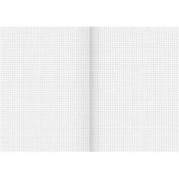 BRUNNEN Quaderno scolastico riciclato Lineatur 22, a quadretti senza margine, A4