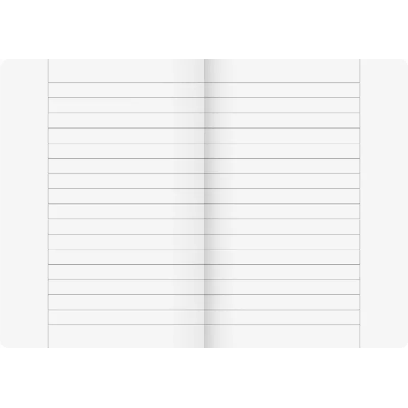 BRUNNEN Vivendi Quaderno scolastico Lineatur 25 a righe con margine esterno