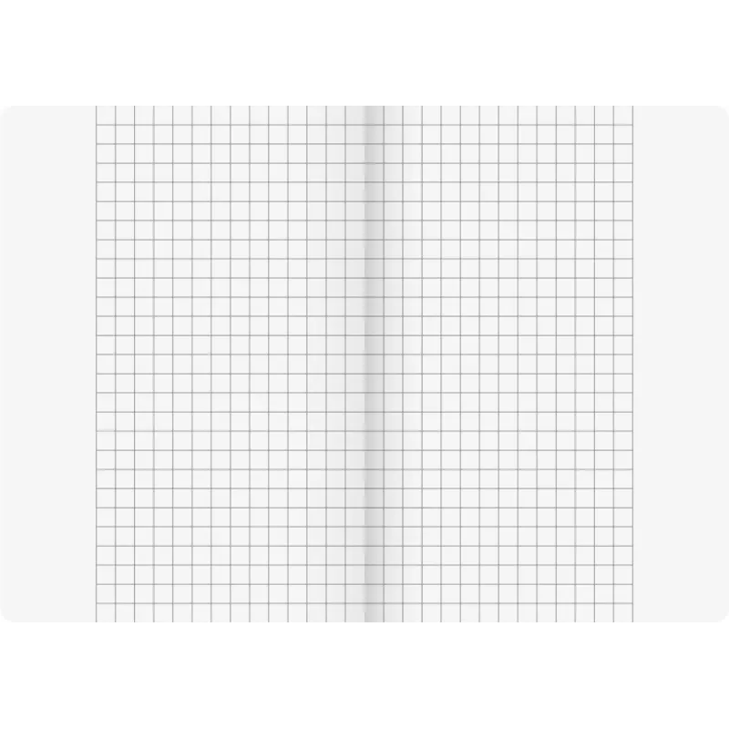 BRUNNEN Vivendi Quaderno scolastico Lineatur 26 a quadretti con margine esterno