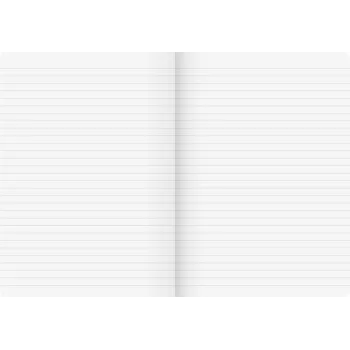 BRUNNEN Vivendi Quaderno scolastico Lineatur 21, a righe senza margine, A4, 16 fogli