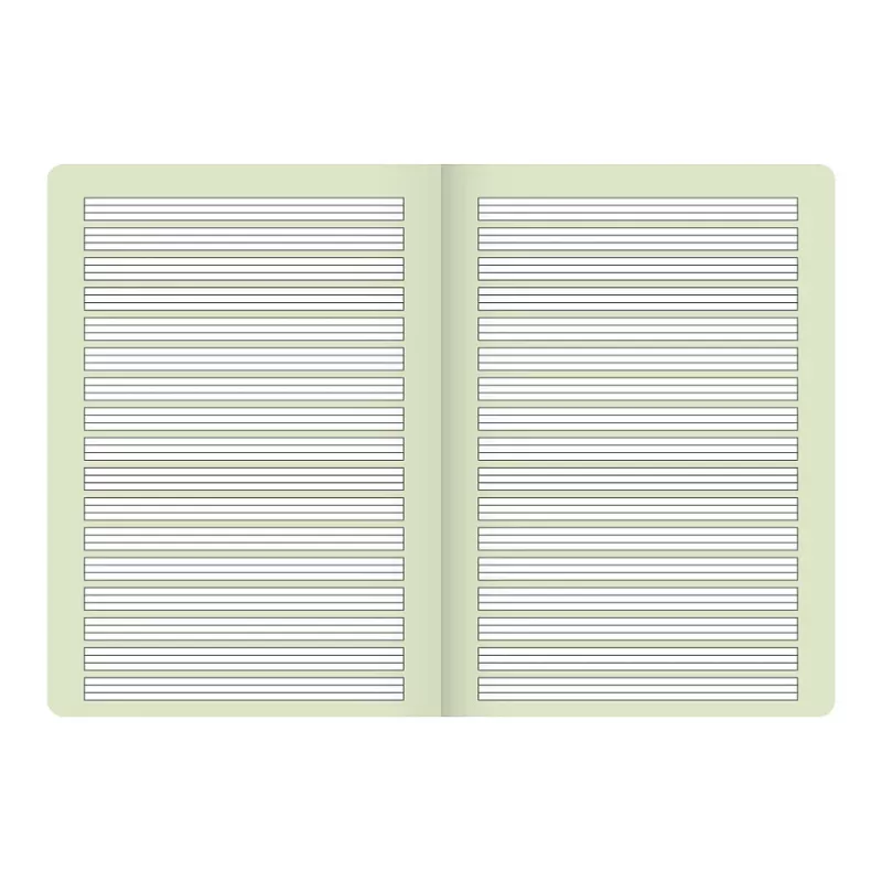 Quaderno scolastico BRUNNEN Vivendi A4 Lineatur 2 a righe 16 fogli 32 pagine