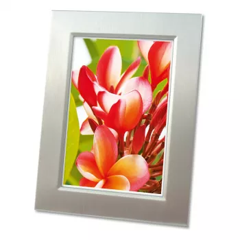 Avery Zweckform Carta fotografica Premium Glossy - lucida - bianca - A4 (210 x 297 mm) - 25 fogli