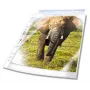 DURABLE Premium buste per documenti DIN A4 extra larghe trasparenti lisce 0,08 mm, 50 pezzi (999111197)