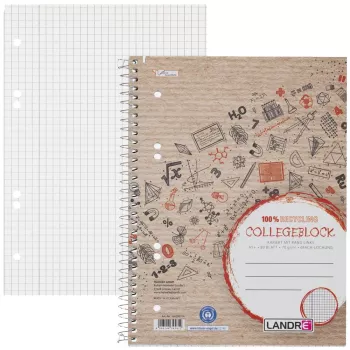 Hamelin Landre College Block A5 a quadretti 80 fogli con margine 4 fori