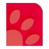 Oxford 100050402 quaderno A4 90 g/m2 rosso