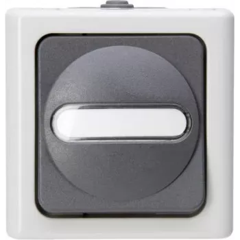 Heinrich Kopp invertitore da parete per ambienti umidi BLUE ELECTRIC grigio 10A 250V IP44 deviatore da parete