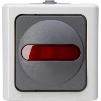 Heinrich Kopp 561656007 pulsante, grigio/bianco, termoplastica, IP44, 10A, 250V
