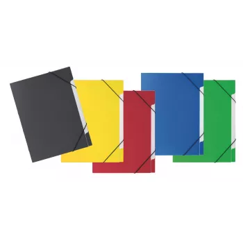 PAGNA cartella organizer a 5 sezioni Basic 5 sezioni colori assortiti