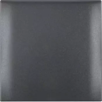 Berker 918282505 telaio a 1 posto con coperchio a cerniera, antracite