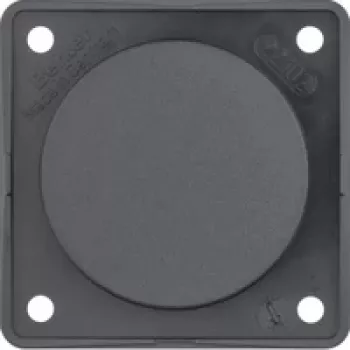 Berker placca di copertura antracite con placca di supporto 945162505