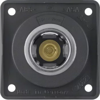 Berker presa 845712505 12V antracite opaco