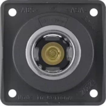 Berker presa 845712505 12V antracite opaco