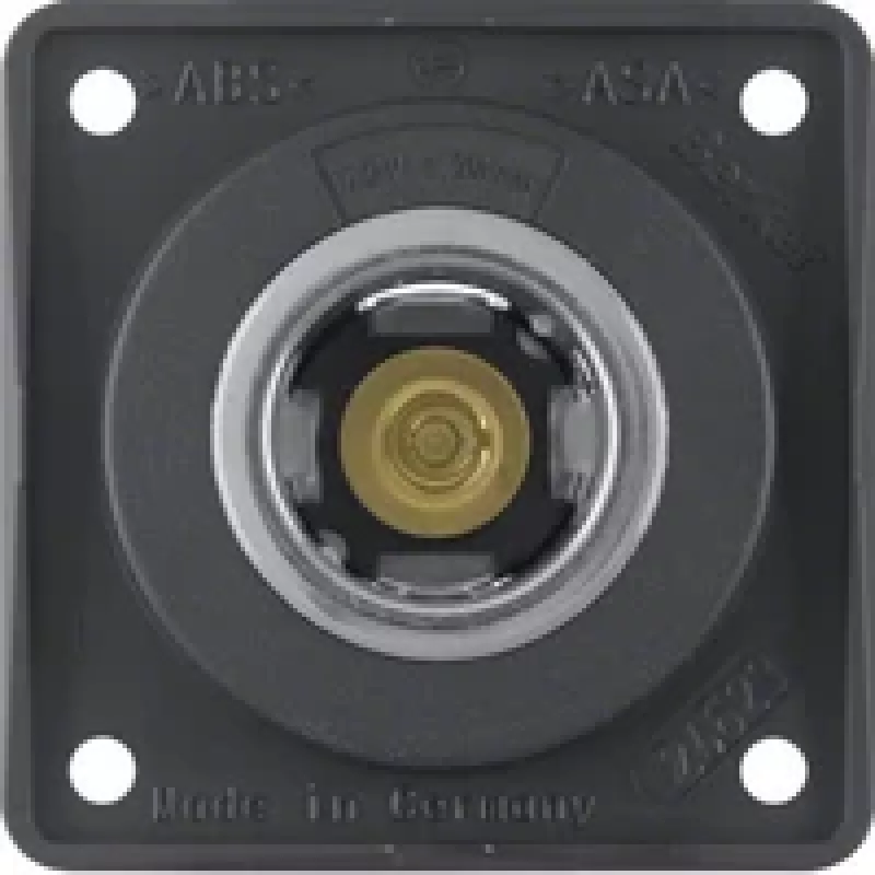 Berker presa 845712505 12V antracite opaco
