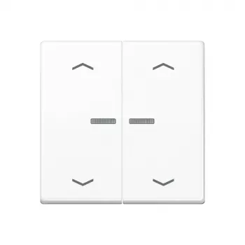JUNG Home pulsante 2 posti Bluetooth AS 17102 P WW