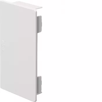 HAGER Terminale LF6011069016 60x110mm bianco traffico (RAL 9016) per canale portacavi Tehalit LF