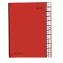 PAGNA organizer da scrivania 24 scomparti - A4 - cartoncino - rosso - verticale - 340 mm - 35 mm