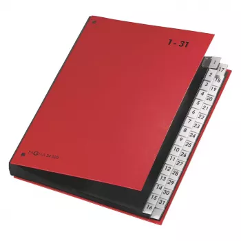 PAGNA organizer da scrivania 32 scomparti - A4 - cartoncino - rosso - verticale - 340 mm - 40 mm