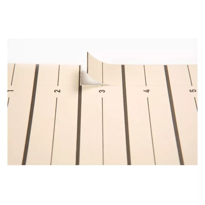 PAGNA Separatori A4 cartone beige 100 pezzi non perforati 180 g/m² 44063-09