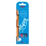 Pentel Sign Pen set pennarelli brush 4 colori nero rosso blu verde