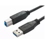Bachmann 917.1203 cavo USB 3.2 Gen 1 - USB A a USB B - 3 m - nero