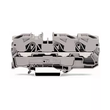 WAGO 2010-1301 morsetto passante, 10 mm², 800 V, grigio, montaggio su guida DIN