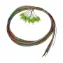 SYNERGY21 Pigtail LC 50/125µm OM5 2m confezione da 12 cavo interno con codice colore