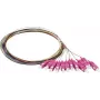 Synergy 21 S215524 pigtail fibra ottica SC OM4 2m confezione da 12 colorati