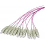 EFB Elektronik Pigtail in fibra SC OM4 50/125 µm Erika Violet 2 m