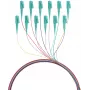EFB Elektronik Fibre Pigtail LC 50/125 OM3 set 12 colori 2m - set cavo/adattatore - Multimode