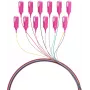 EFB Electronics Fibre Pigtail SC 50/125 OM4 set 12 colori 2m - set cavo/adattatore - Singlemode o Multimode