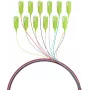 EFB Electronics Fibre Pigtail SC 50/125 OM5 set 12 colori 2m - set cavo/adattatore - Singlemode o Multimode