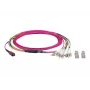 EFB-Elektronik Cavo patch matrice MTP-F/LC 8 fibre OM4, LSZH, viola erika, 10m