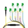 EFB Elektronik MTPF12LCAPC-2 - 2 m - OS2 - MTP - 12x LC Cavo breakout in fibra ottica