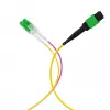EFB Elektronik MTPF12LCAPC-2 - 2 m - OS2 - MTP - 12x LC Cavo breakout in fibra ottica