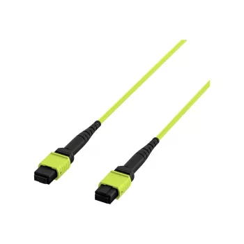 EFB Elektronik MTPF12MTPFOM5-2 cavo patch in fibra ottica OM5 MTP su MTP da 2m
