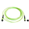 EFB Elektronik MTPF12MTPFOM5-2 cavo patch in fibra ottica OM5 MTP su MTP da 2m