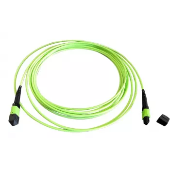 EFB Elektronik MTPF12MTPFOM5-2 cavo patch in fibra ottica OM5 MTP su MTP da 2m