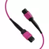 EFB ELEKTRONIK cavo patch MPO-PLUS(F)-MPO-PLUS(F) OM4 12 fibre Tipo B LSZH viola heather 2 m