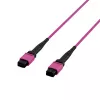 EFB ELEKTRONIK cavo patch MPO-PLUS(F)-MPO-PLUS(F) OM4 12 fibre Tipo B LSZH viola heather 3 m
