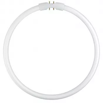 Osram lampada fluorescente circolare T5 FC22W 840 2GX13