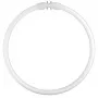 Osram lampada fluorescente circolare T5 FC22W 840 2GX13