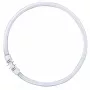 OSRAM LUMILUX T5 FC lampada fluorescente circolare 40W 830 2GX13 bianco caldo 3000K