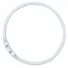 OSRAM LUMILUX T5 FC lampada fluorescente circolare 55W 865 luce diurna 2GX13