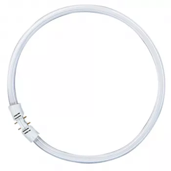 OSRAM LUMILUX T5 FC lampada fluorescente circolare 55W 865 luce diurna 2GX13