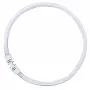 OSRAM LUMILUX T5 FC lampada fluorescente circolare 55W 865 luce diurna 2GX13